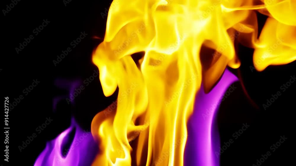 Yellow and purple flames on a black background, creating a vivid and surreal effect. Yellow and purple flames on a black background, creating a vivid and surreal effect.