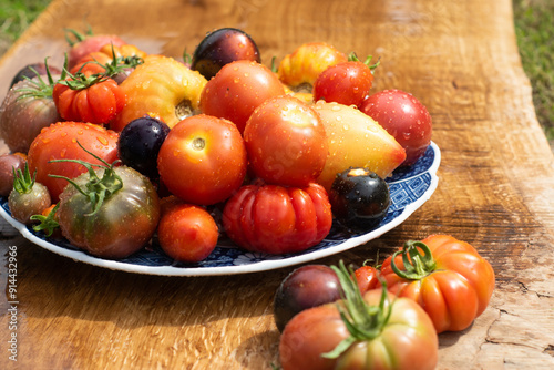 Fresh colorful heirloom tomatoes on a plate washed with cold water outside on wooden rustic table.