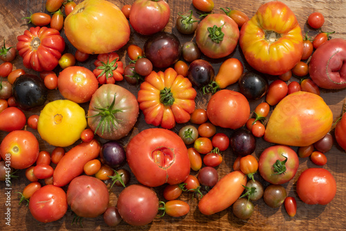 top view tomatoes in many shapes, sizes and colors  on wooden background. Home greenhouse grown vegetables full of different flavours.