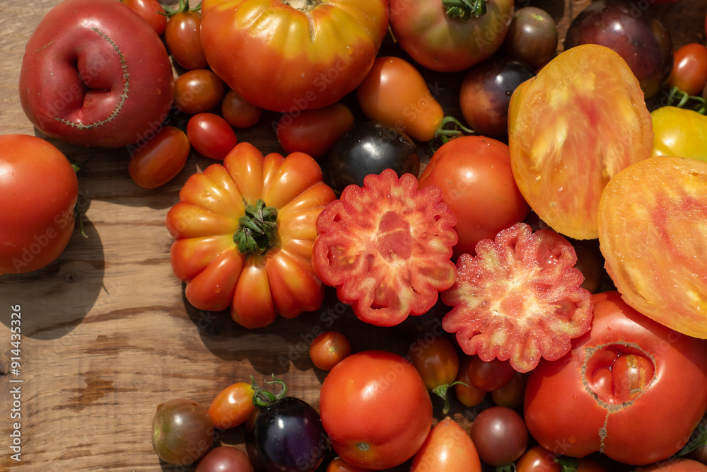 top view tomatoes in many shapes, sizes and colors on wooden background. Home greenhouse grown vegetables full of different flavours.