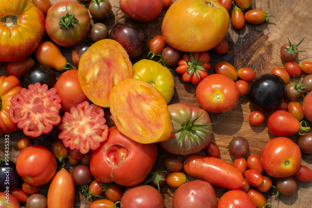 top view tomatoes in many shapes, sizes and colors on wooden background. Home greenhouse grown vegetables full of different flavours.