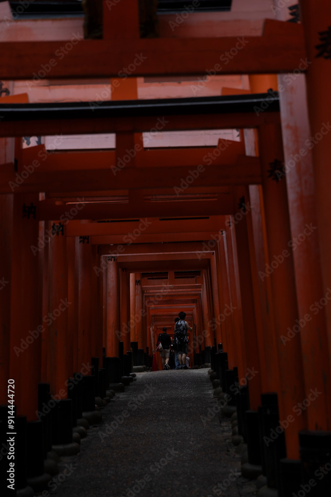 Torii gates at Fushimi Inari-Taisha sanctuary,Kyoto, Japan Torii gates at Fushimi Inari-Taisha sanctuary,Kyoto, Japan