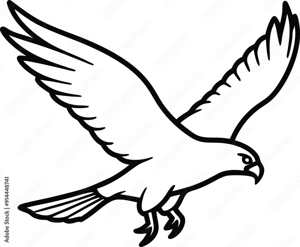Fototapeta premium illustration of a hawk , Hawk Silhouette , Hawk line art