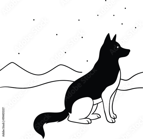 black and white dog , Husky and Aurora Borealis Silhouette.