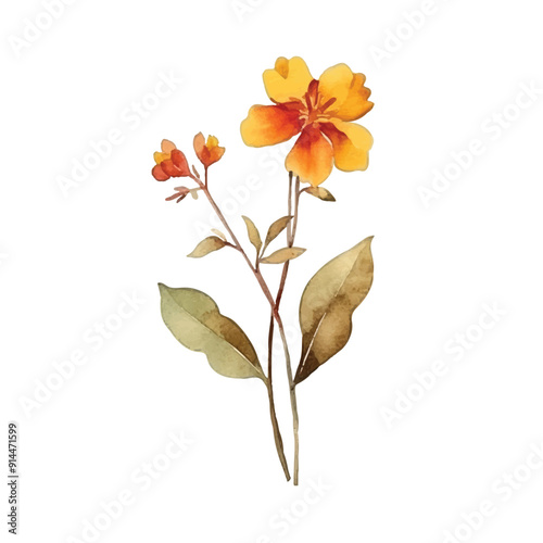 Watercolor flower from spring season vector ilustration, white background