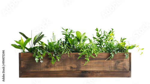 Wooden planter box with plants on transparent background