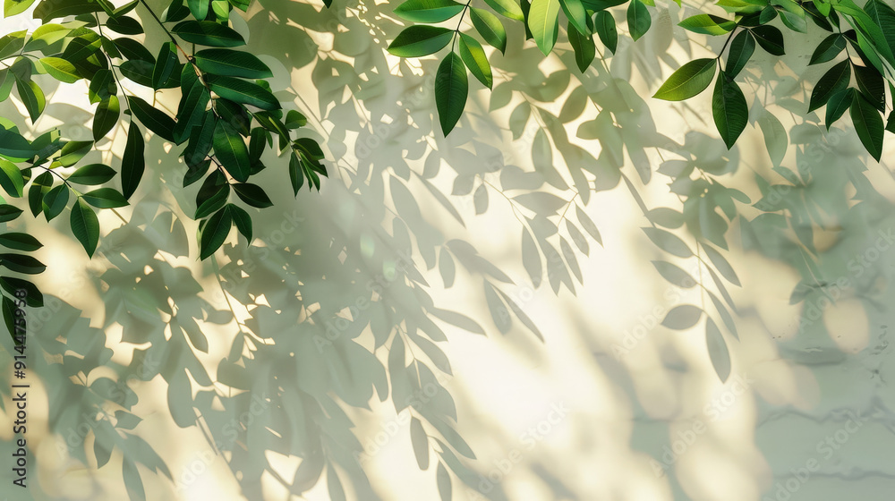tree leafes shadow on white background tree leafes shadow on white background