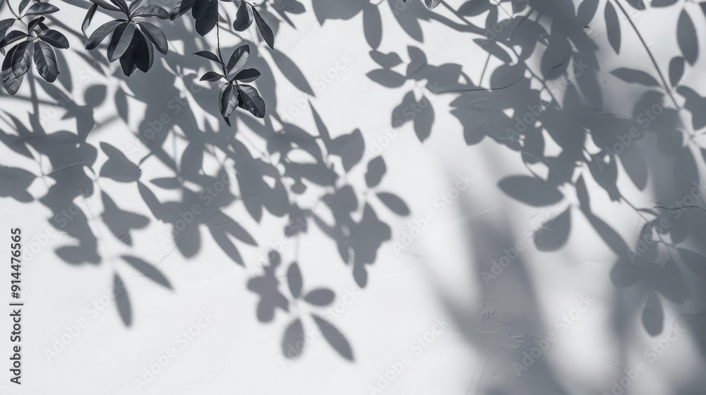 tree leafes shadow on white background tree leafes shadow on white background