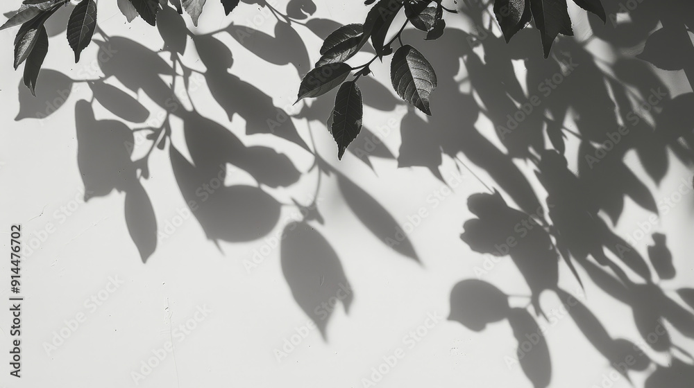 tree leafes shadow on white background