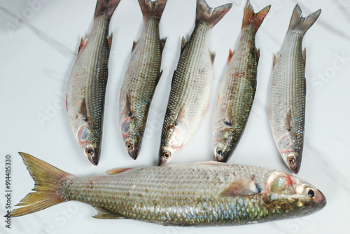 Raw mullet fishes on a marble kitchen counter. Top view.