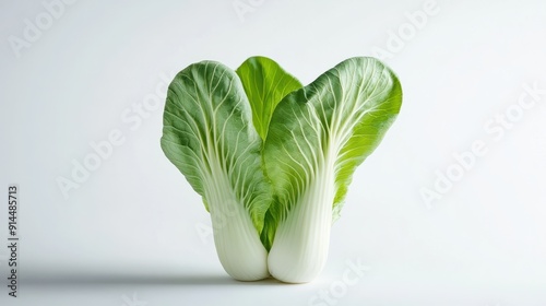 Baby pak choi against white backdrop photo