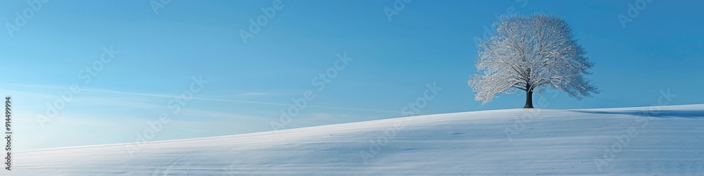 Lonely snow covered tree in wintry minimalist landscape with blue sky Tree positioned in right corner hill slopes diagonally down