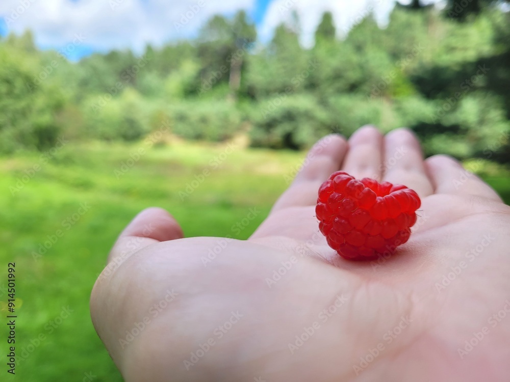 One sweet raspberry for awesome taste. One sweet raspberry for awesome taste.