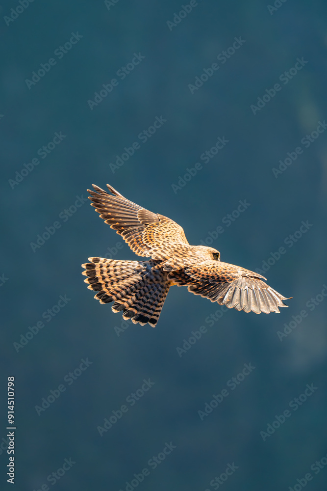 Obraz premium Miradouro do Pico do Areeiro - Madeira
