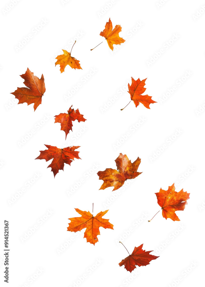 Autumnal composition with fall leaves on white background. Flat lay, top view. Thanksgiving day concept. Autumnal composition with fall leaves on white background. Flat lay, top view. Thanksgiving day concept.