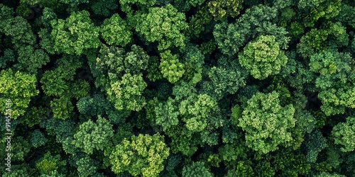 Aerial View of Lush Green Forest, Rainforest Ecosystem and Healthy Environment Background Generative AI