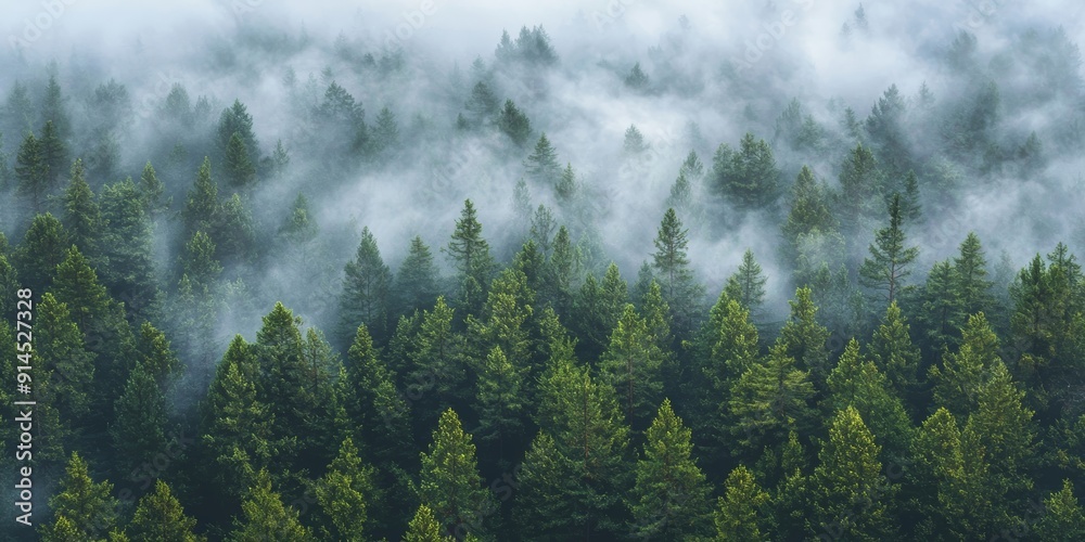 Misty Pine Forest Landscape for Travel or Nature Backgrounds Generative AI Misty Pine Forest Landscape for Travel or Nature Backgrounds Generative AI