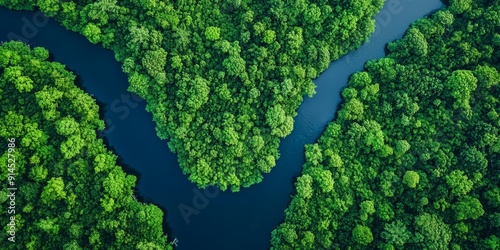 Aerial View of River and Forest, Beautiful Landscape for Travel or Nature Documentaries Generative AI