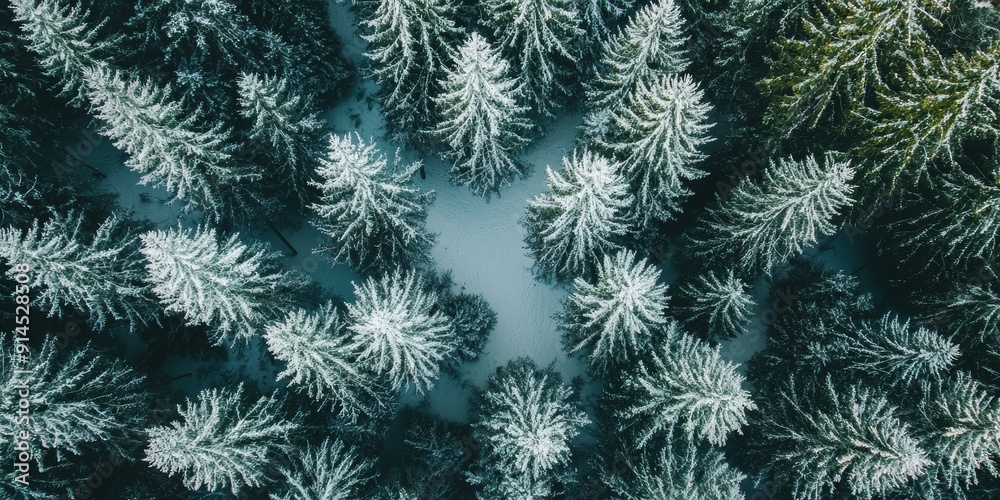 Aerial View of White Forest on Vancouver Island for Travel or Nature Documentary Generative AI Aerial View of White Forest on Vancouver Island for Travel or Nature Documentary Generative AI