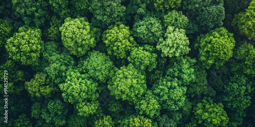 Aerial View of a Beautiful Forest Landscape, Perfect for Nature and Travel Themes Generative AI