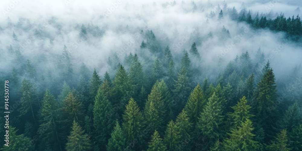Misty Forest Landscape in Pacific Northwest, Aerial View of Trees and Fog Generative AI Misty Forest Landscape in Pacific Northwest, Aerial View of Trees and Fog Generative AI