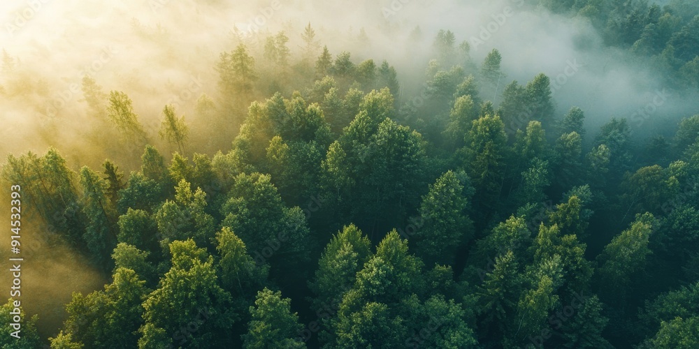Misty Forest Landscape Viewed from Above Generative AI Misty Forest Landscape Viewed from Above Generative AI