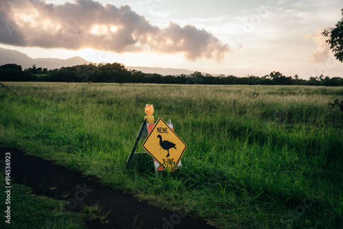 Nene crossing road sign near a road in Kauai, Hawaii - dec 2022 photo