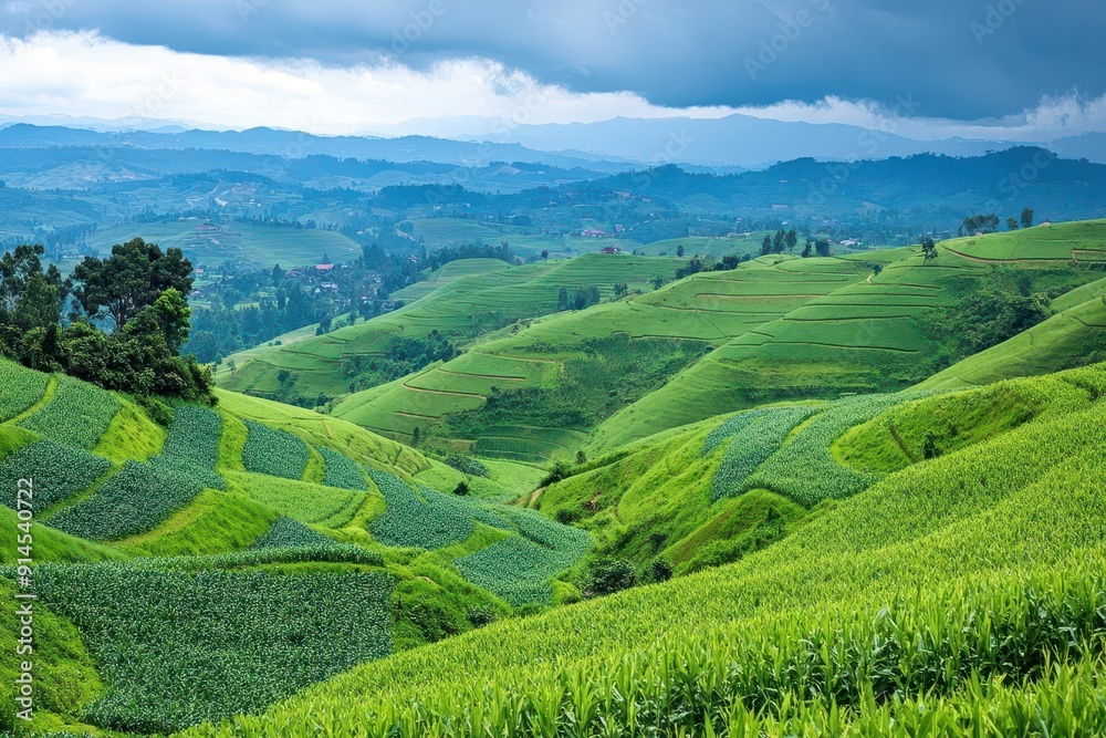 lush green rolling hills dotted with vibrant exotic crops in neat geometric patterns creating a patchwork landscape under a dramatic sky lush green rolling hills dotted with vibrant exotic crops in neat geometric patterns creating a patchwork landscape under a dramatic sky