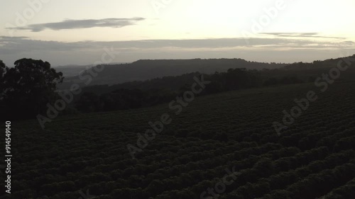 Sunset over the field