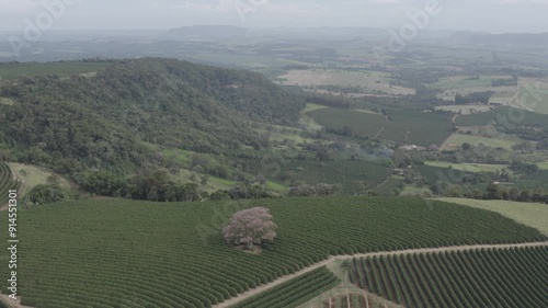 Aerial view of brazilian landscape