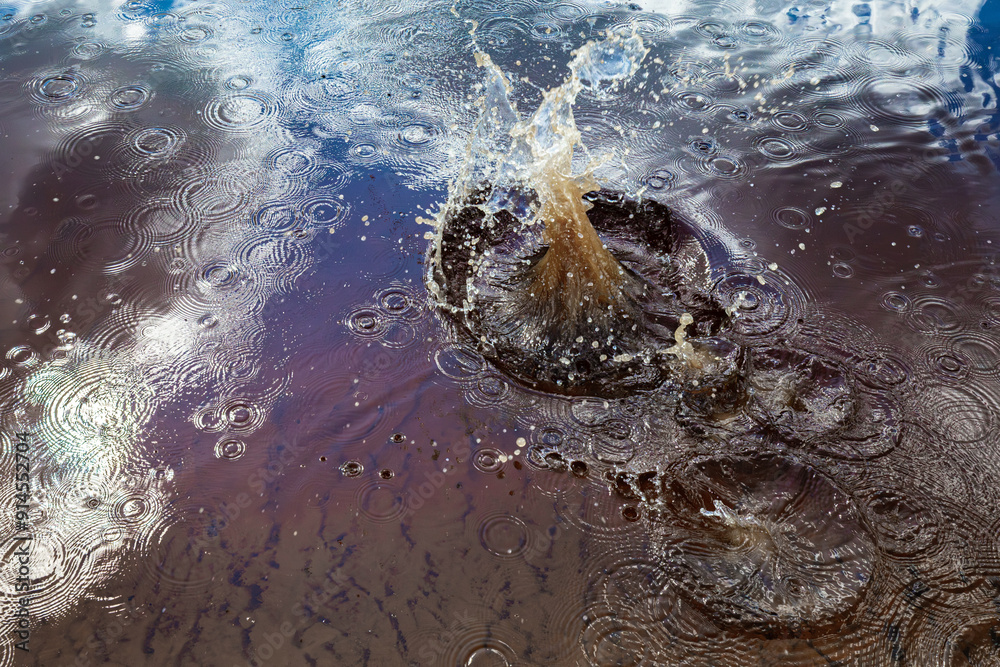 Obraz premium Close-up view of a splash in water, surrounded by concentric ripples and reflections of the sky. The dynamic movement of the splash contrasts with the calm ripples, creating an energetic 