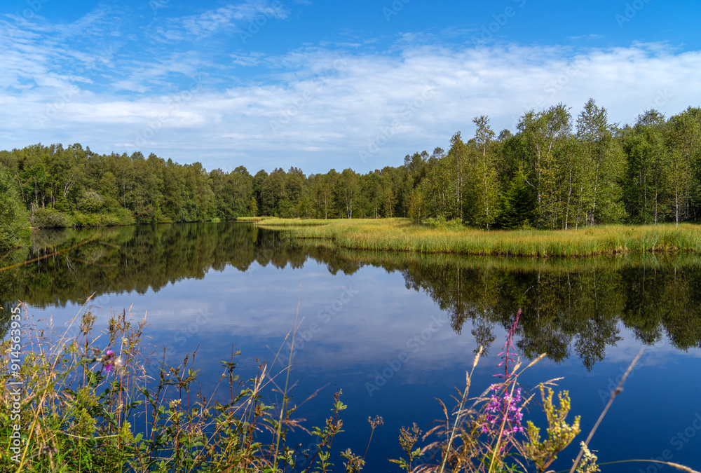 Obraz premium See am roten Moor in der Rhön
