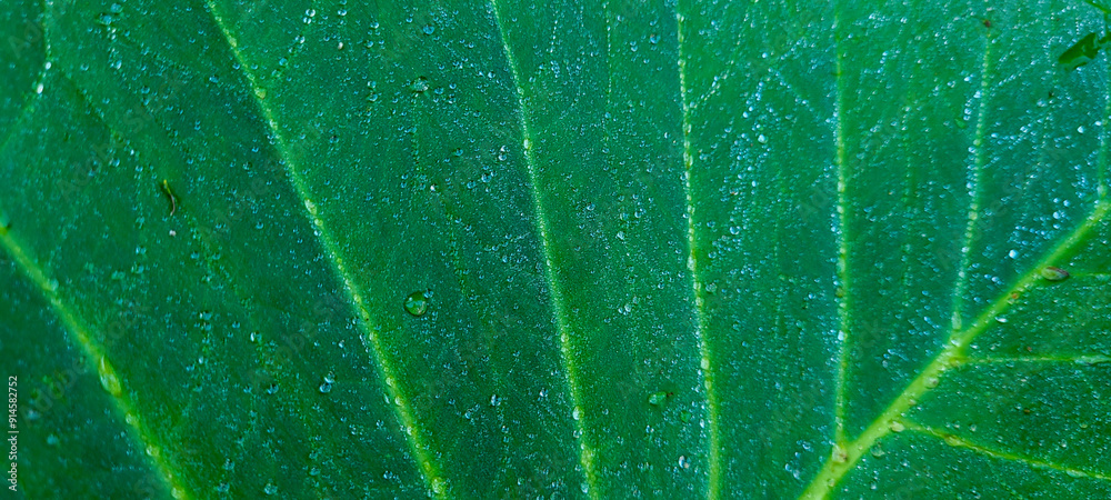 tropical green foliage with abstract lines tropical green foliage with abstract lines