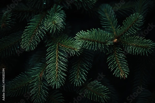 Beautiful Christmas Background with green fir tree brunch close up. Copy space, trendy moody dark toned design for seasonal quotes. Vintage December wallpaper. Natural winter holiday forest backdrop
