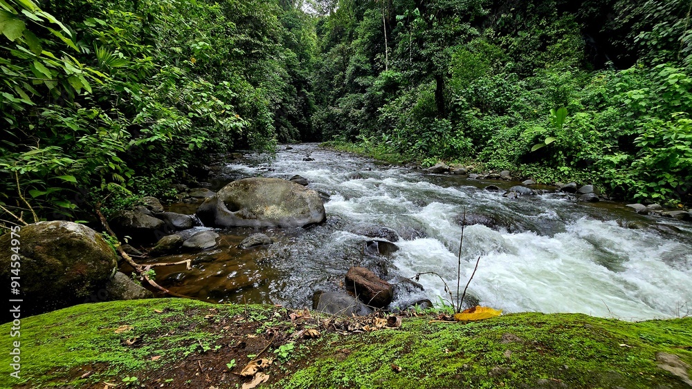 Fototapeta premium River running through the rainforest in La Fortuna, Costa Rica with mossy tree trunk in foreground