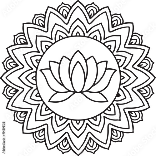 lotus flower illustration