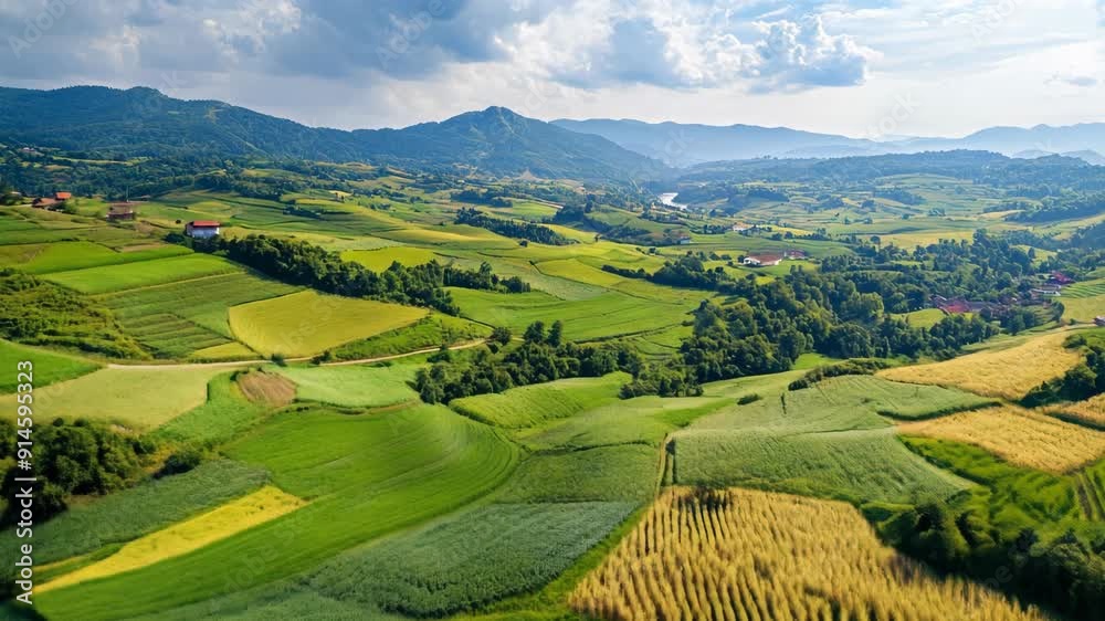 A 3D animation of a scenic aerial view of lush green terraced fields in a hilly landscape A 3D animation of a scenic aerial view of lush green terraced fields in a hilly landscape