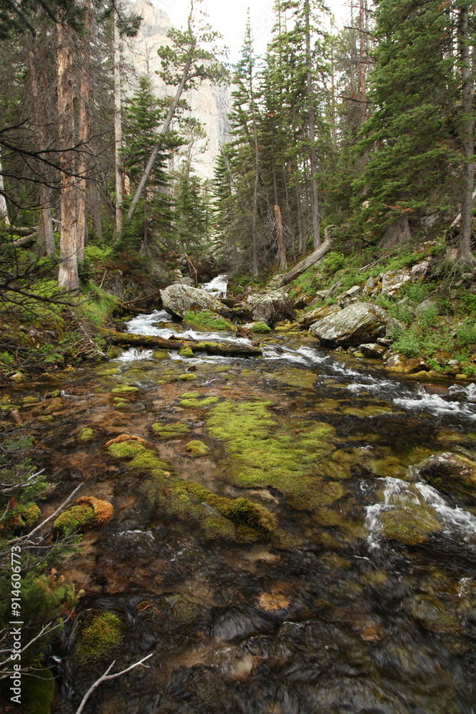 Mossy creek in Beartooth Mountains, Montana Mossy creek in Beartooth Mountains, Montana