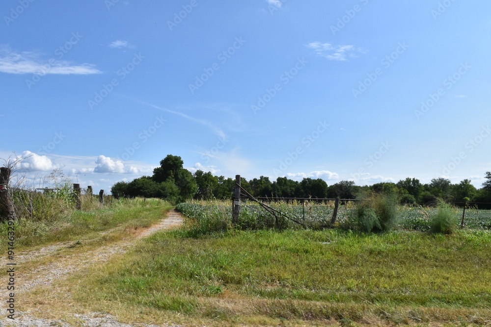 Fototapeta premium Gravel Road in a Farm Field
