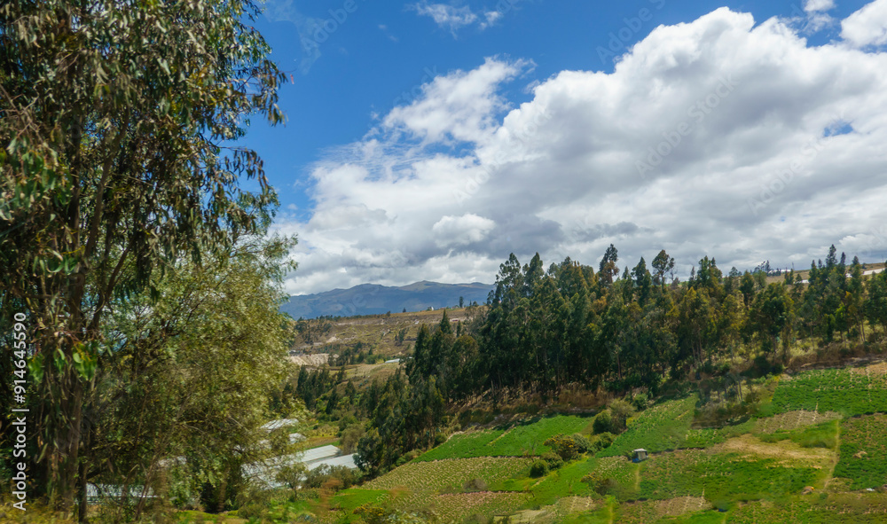 PANORAMA 