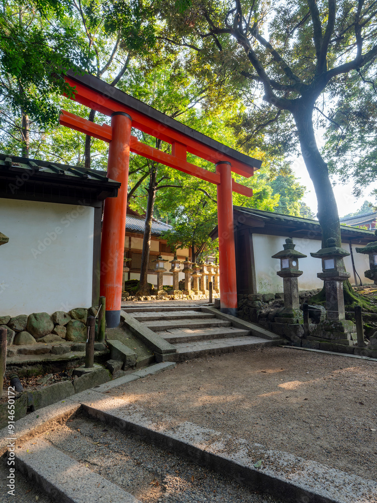 鮮やかな鳥居と石灯籠が建つ春日大社の参道