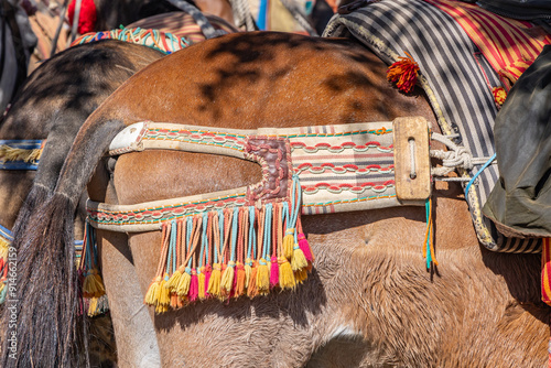 Traditional colorful decorations on horses at a Spanish festival. photo