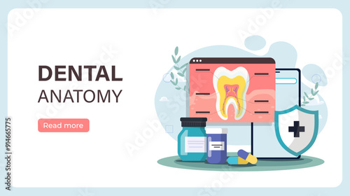Dental anatomy poster. Xray with tooth structure. Health care and medicine. Diagnosis and treatment. Dentistry, orthodontics and stomatology. Landing webpage. Flat vector illustration