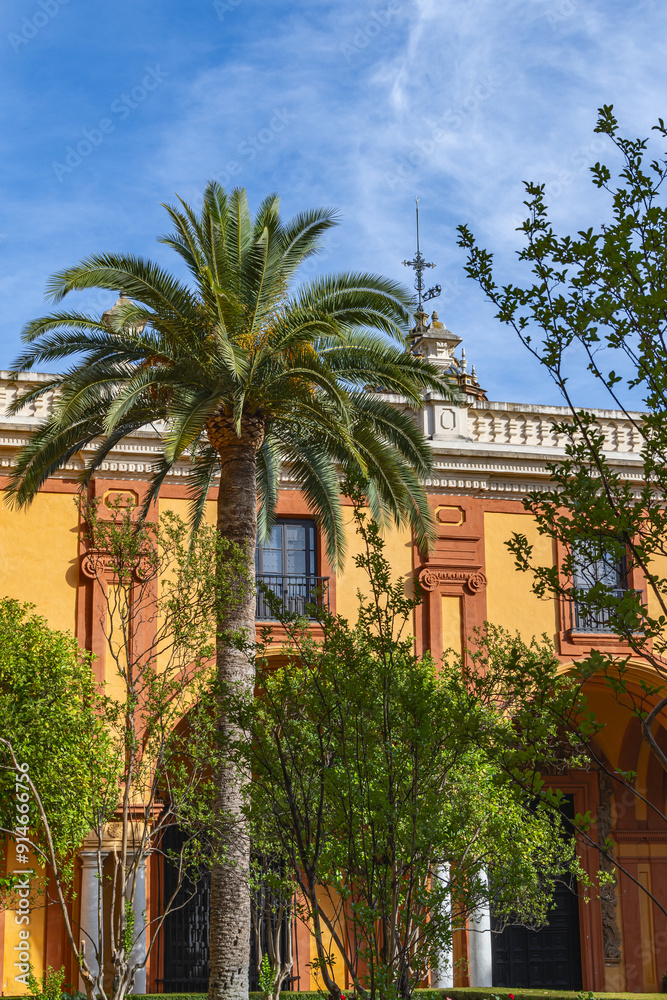 Palm tree in front of an old Spanish building. Palm tree in front of an old Spanish building.