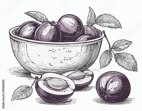 Prunes and plums vector hand drawn illustration. Ink sketch of nuts. Hand drawn vector illustration. Isolated on white background