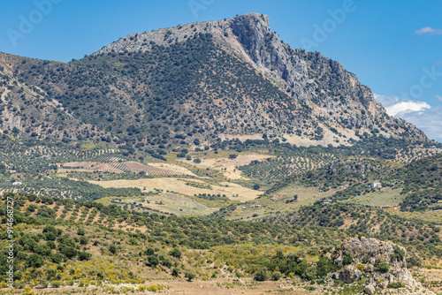 Mountain above olive groves in Andalusia.
