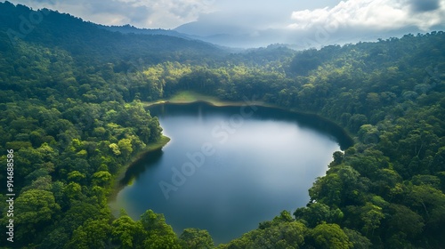 Stunning Aerial View of Serene Lake Surrounded by Lush Green Forest Landscape