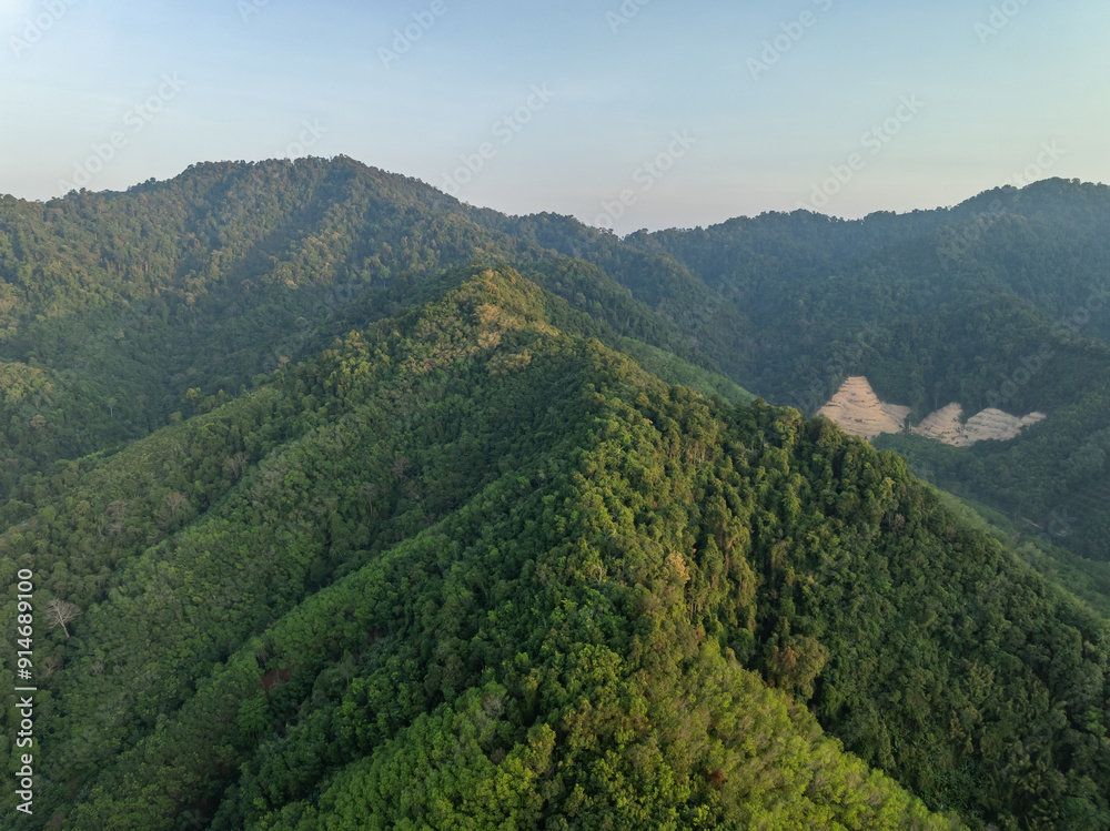 Aerial view Tropical Rainforest trees mountains Aerial view Tropical Rainforest trees mountains