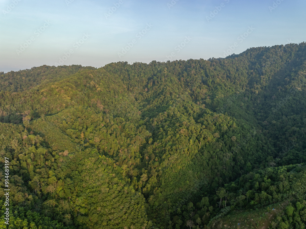 Fototapeta premium Aerial view Tropical Rainforest trees mountains