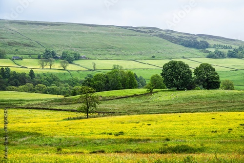 Farms over North Pennines, Cumbria, Durham, Northumberland, North Yorkshire, England